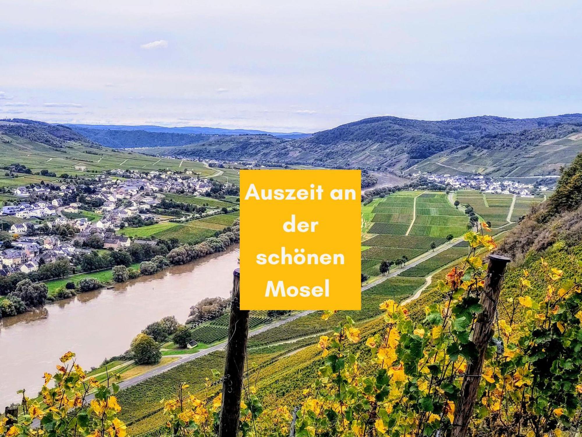 Komfort Fewo L Moselstay L Maximal 4 Personen Und Baby I Brauneberg Mosel I Wifi I 외부 사진