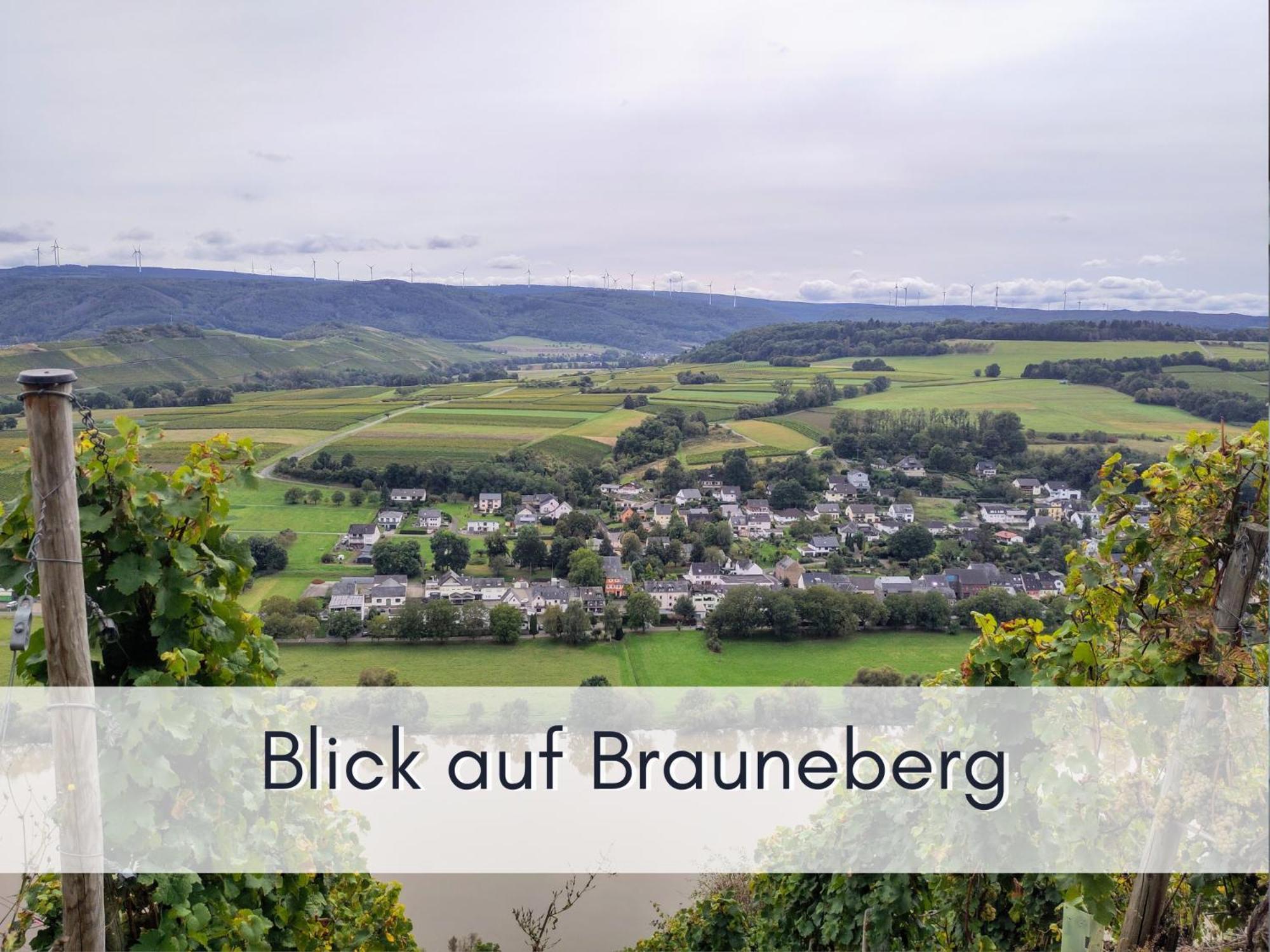 Komfort Fewo L Moselstay L Maximal 4 Personen Und Baby I Brauneberg Mosel I Wifi I 외부 사진